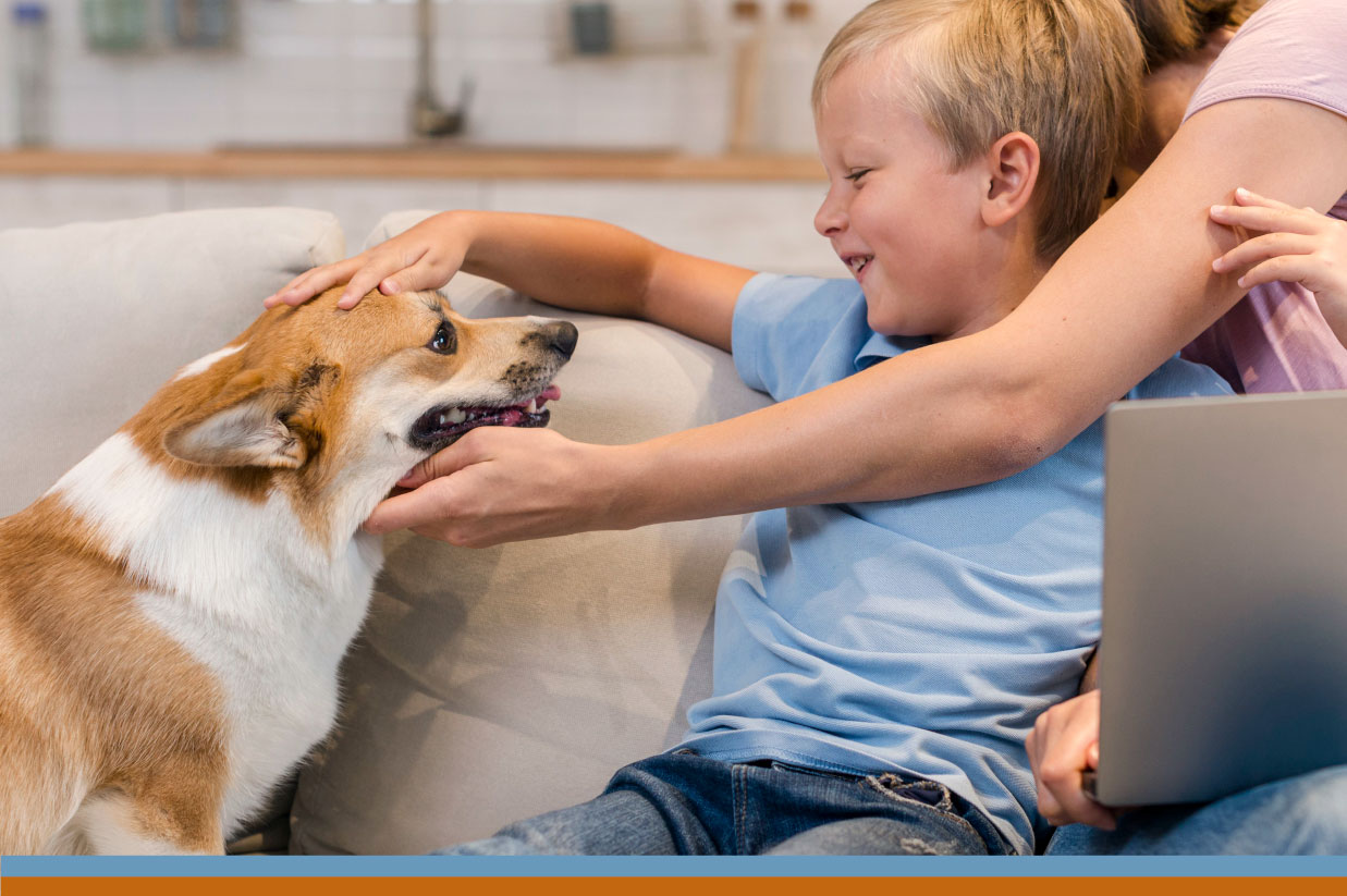 comparateur assurance chien chat